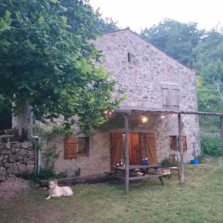 Maison De Vignes De Tournemire Tournemire  ภายนอก รูปภาพ