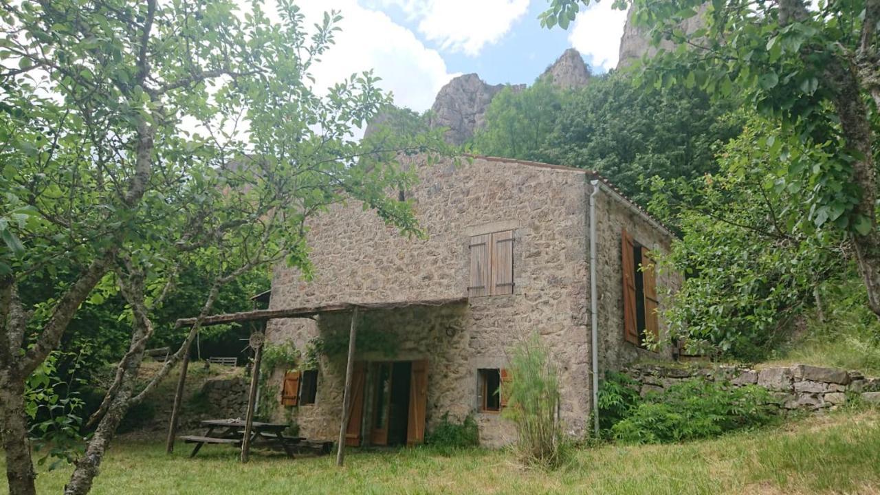 Maison De Vignes De Tournemire Tournemire  ภายนอก รูปภาพ