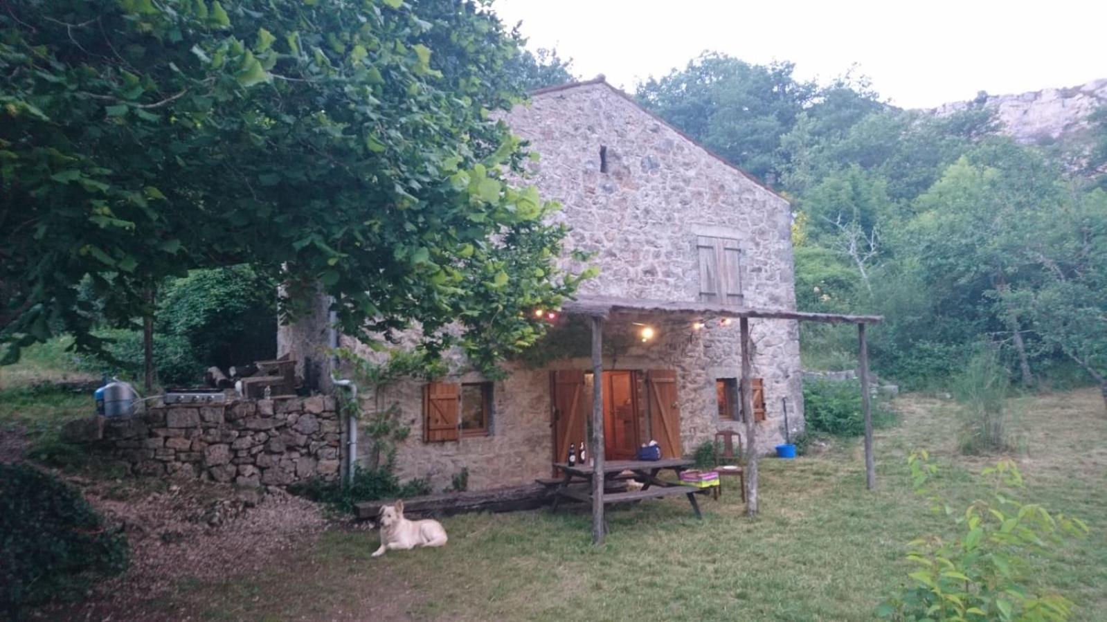 Maison De Vignes De Tournemire Tournemire  ภายนอก รูปภาพ